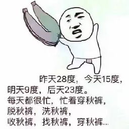 什麼不透什麼,有一句歌詞猜不透什麼什麼,猜不透什麼什麼,猜不透什麼什麼,看