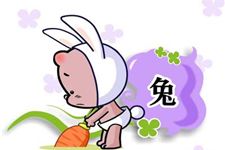 卯兔的本命佛是什麼,屬兔的本命佛是哪尊佛像