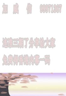 世界屬相代表什麼,十二生肖什麼意思