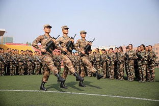 國防才力命命指什麼,在「才,力,命」三要素中,「命」的正確含義是什麼?