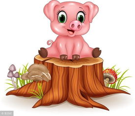 1983屬豬命里忌什麼,83年屬豬男今年應注意什麼?