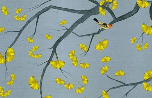 2022本命買什麼植物招財,本命年送什麼花