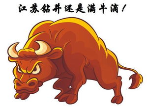 屬牛的本命戴什麼金耳環,牛年本命年,佩戴什麼飾物開運