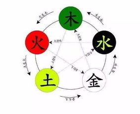 岑建民五行是什麼命,1990年農歷九月22出生五行是什麼命