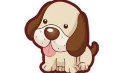 屬狗的男生和什麼屬相最配,屬狗婚配表,狗男跟什麼屬相最配