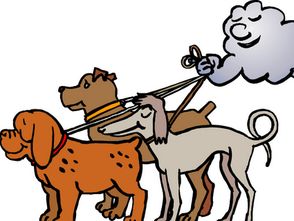 屬狗人本命健康運勢如何,屬狗的本命年好不好?運勢怎麼樣