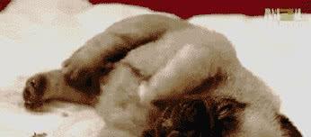 睡覺被嚇醒了本命佛掉了,睡覺的時候做夢,醒了就感覺身體動不了,是不是鬼壓床?