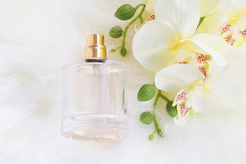 露是怎麼形成的,露是怎麼形成的