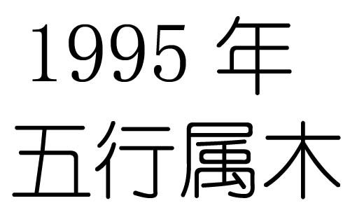 95是什麼命五行屬什麼生肖,1995年是什麼命