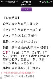 2o20出生小孩是什麼命,2028年出生的孩子什麼命