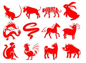 少數民族過本命嗎,本命年為什麼要穿紅的?