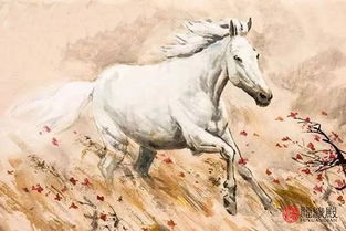 屬馬子女屬相相剋,屬馬人和什麼屬相不合