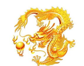 屬龍今是什麼命呢,屬龍的是什麼命