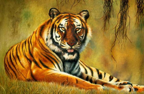 屬虎的女人本命買什麼,屬虎的本命年戴什麼?