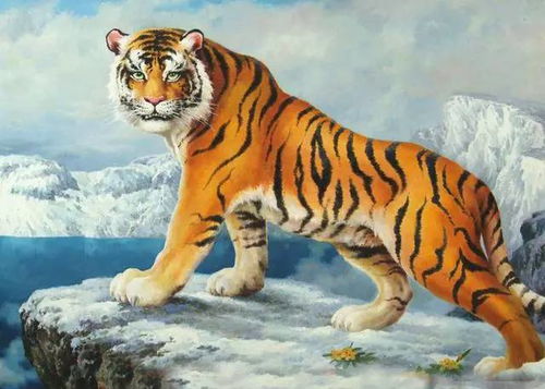 屬虎金命適合什麼名字,屬虎適合什麼名字