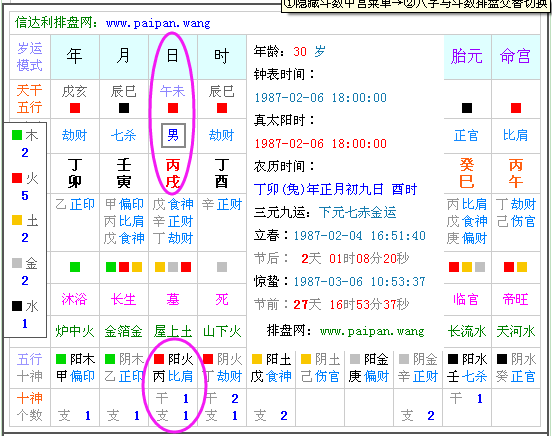 二00九出生的人是什麼命,二oo九年陰歷正月十三已時出生女孩什麼命