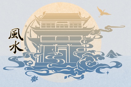 女性辦公桌上擺放什麼花卉旺事業 發財樹寓意招財進寶