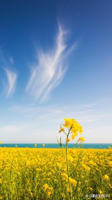 偏印貼身，性格內向，適合按部就班工作，坐辦公室適合自己