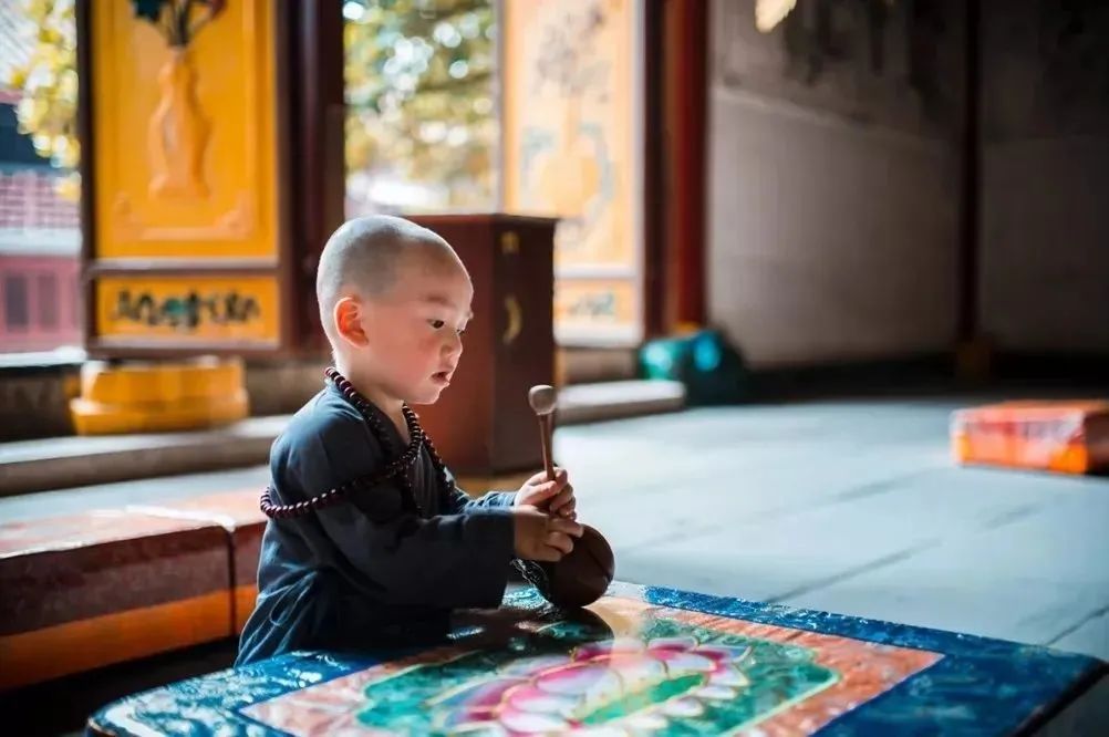 子女投胎不是隨隨便便的，不信你看！