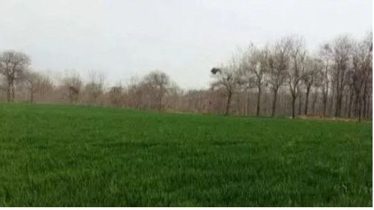 揭祕!風水師墳墓點穴【零基礎操作圖解】,必收藏!