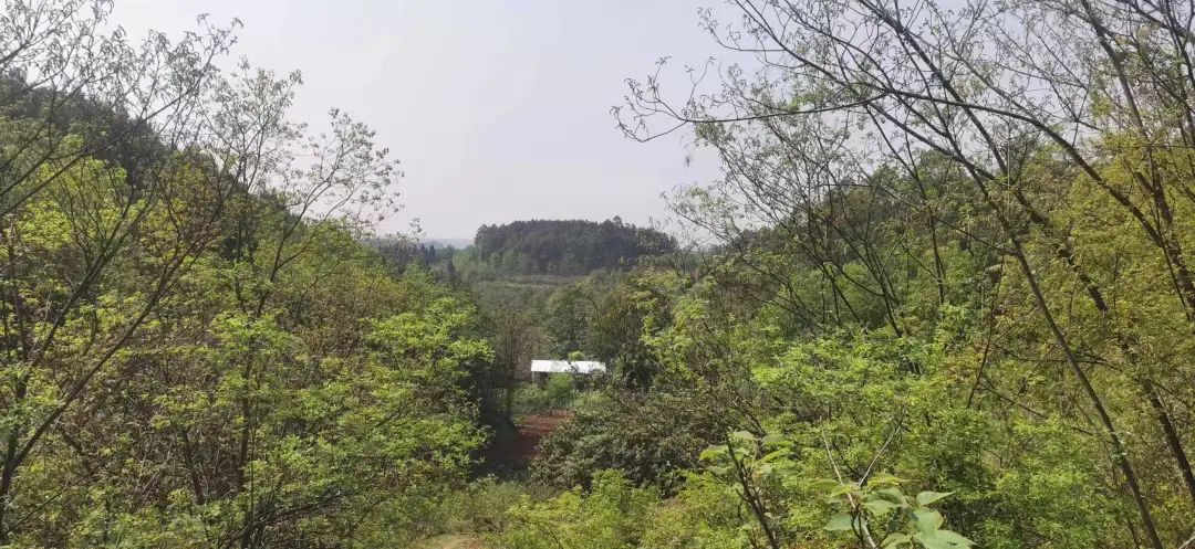 陰陽宅風水如何去立向?