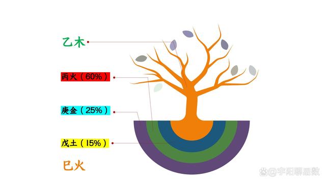 乙巳人，天妒紅顏痴女多，除去繁華之後依然還是寂寞人！