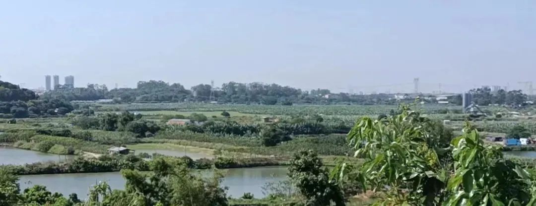 如何辨識真龍的融結處?什麼樣的地方能夠成為風水寶地?