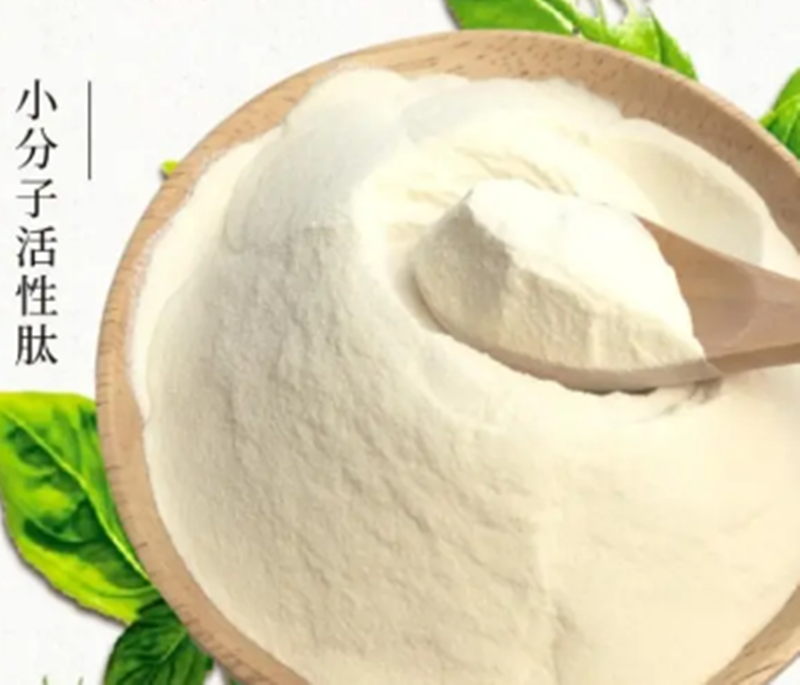 小分子肽為什麼如此神奇？這源於肽的吸收機制