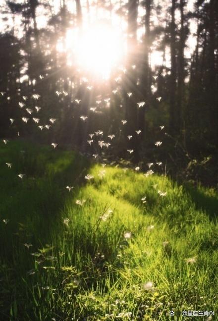 子水劫財為用,能合作求財,依仗更強的人會好一些