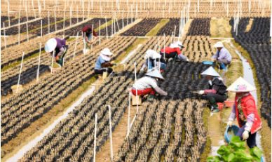 “閏二月，兩不碰，三要做，忌兩事”具體說的是什麼？事事順利添福氣！