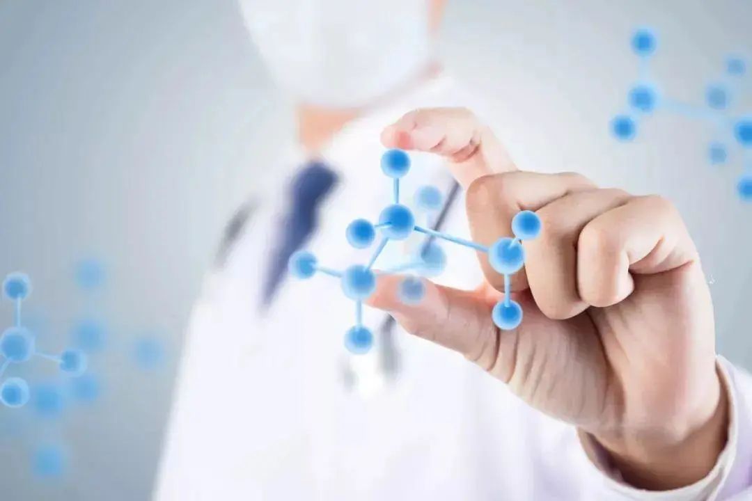 小分子肽為什麼如此神奇？這源於肽的吸收機制