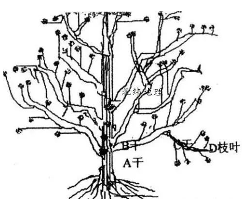 揭祕!風水師墳墓點穴【零基礎操作圖解】,必收藏!
