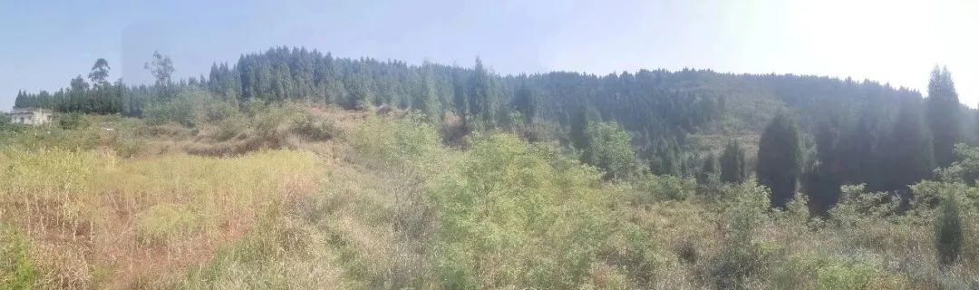 陰陽宅風水如何去立向?