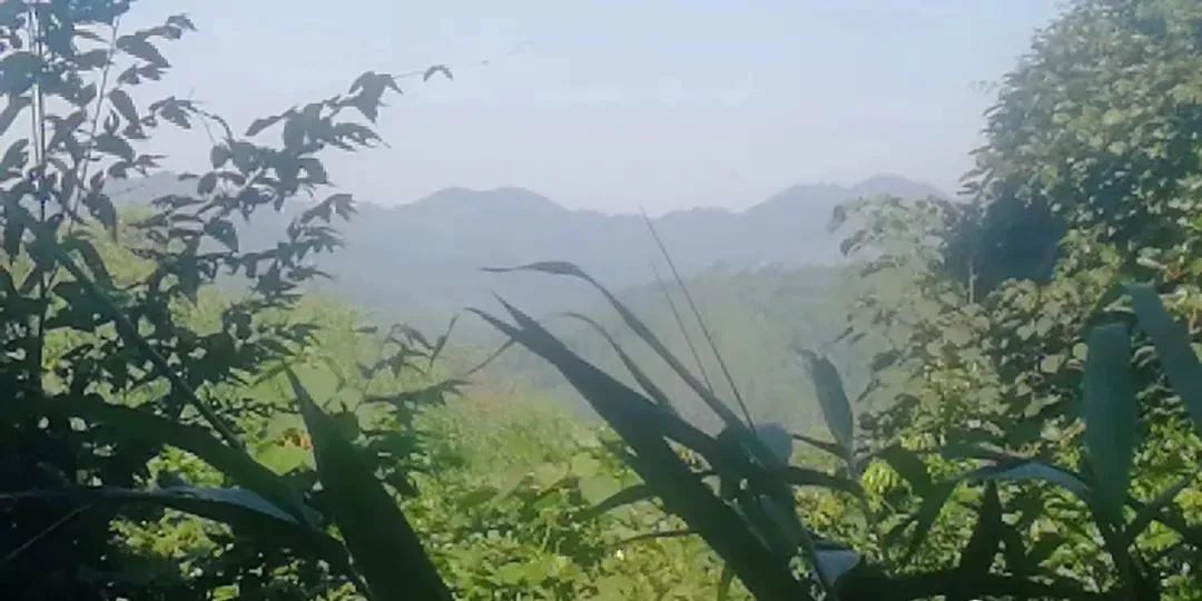 如何辨識真龍的融結處?什麼樣的地方能夠成為風水寶地?