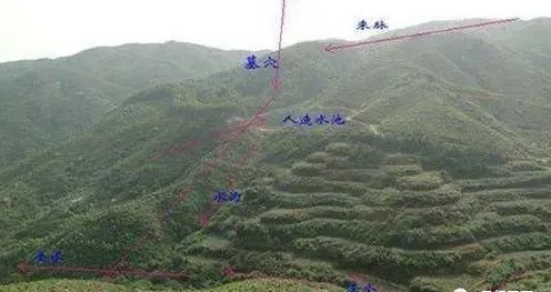 家運不順？趕快看看祖墳是否出現了這些問題！