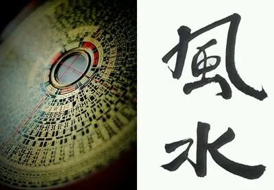 魚缸裡放硬幣,就能提升財運?