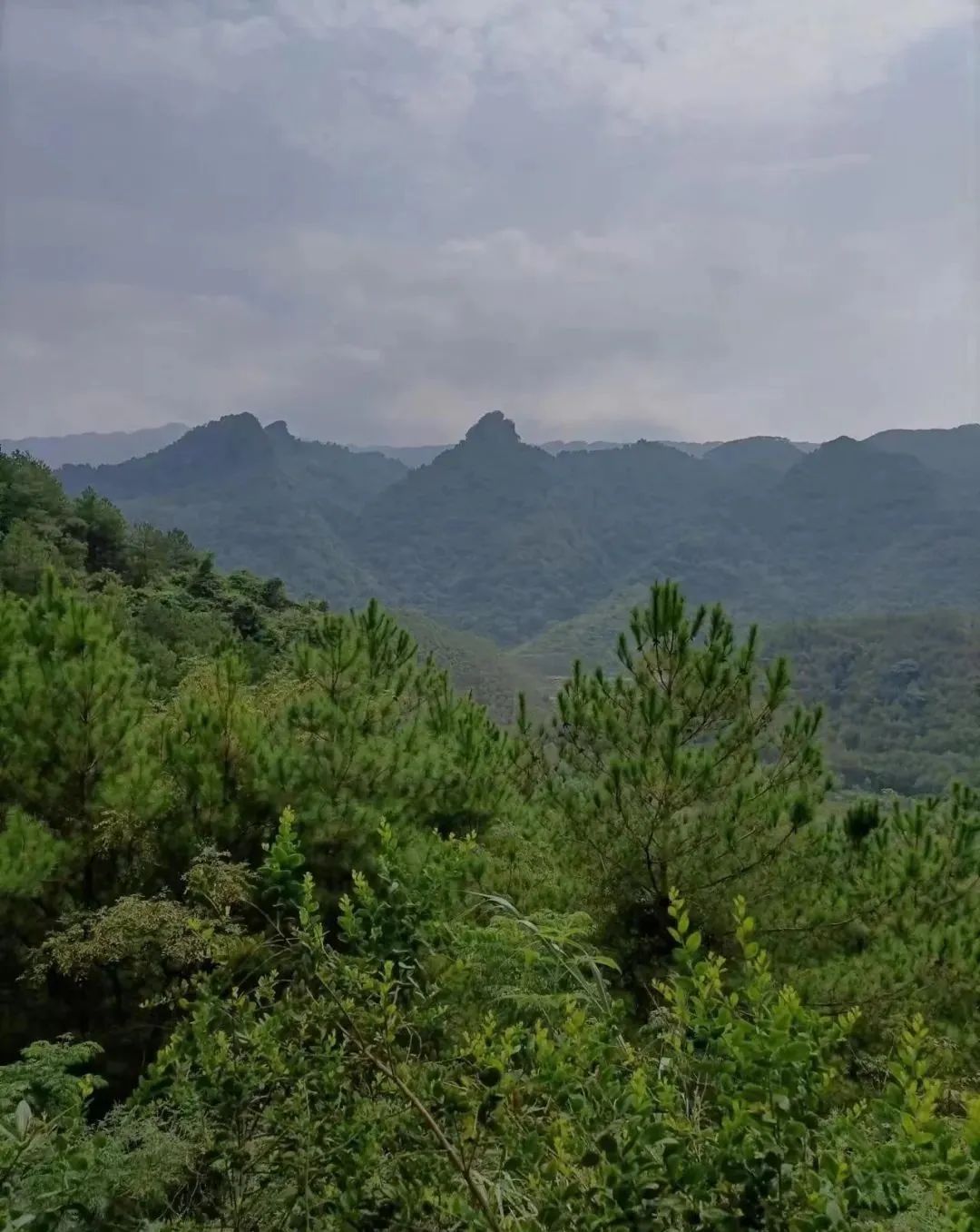 如何辨識真龍的融結處?什麼樣的地方能夠成為風水寶地?