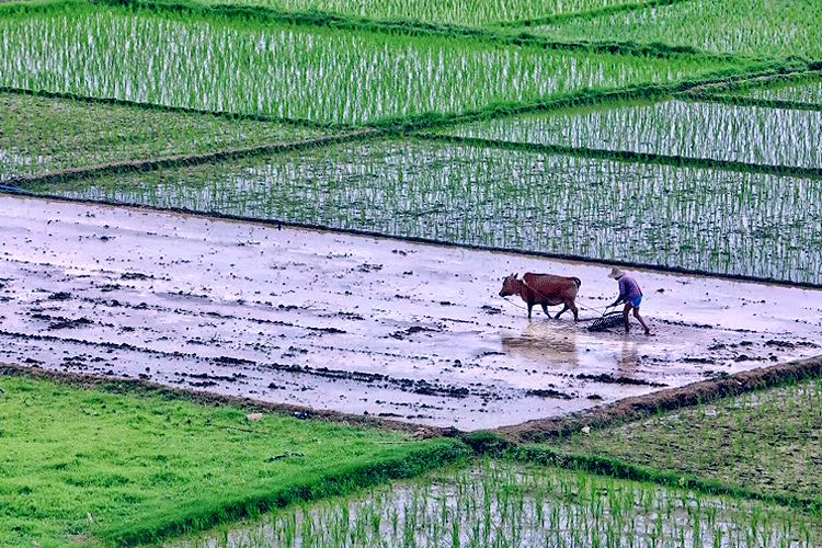 老人說“閏月清明不上墳，上墳禍事將臨門”，有啥說法嗎？今年清明不能上墳？