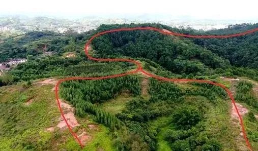最全墓地風水和喪葬禁忌 ,弄明白了子孫滿堂,富甲一方!