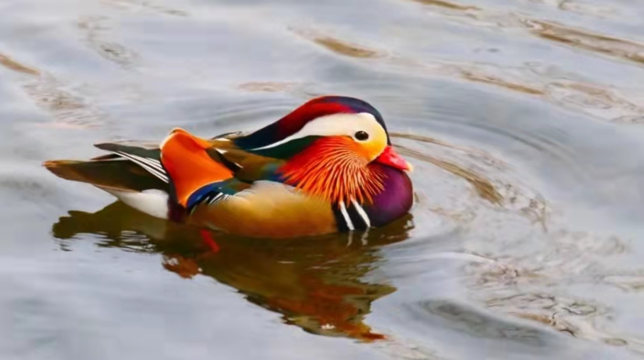 婚姻宮不吉，如何調理？