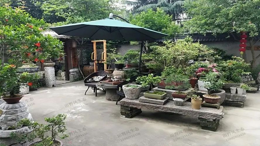 易引來好風水的庭院植物!有很多人還不知道!