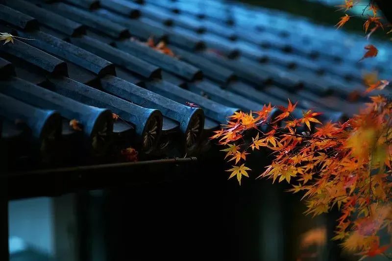 最積陰德的十件事,哪怕做過一件,也會累積大功德!