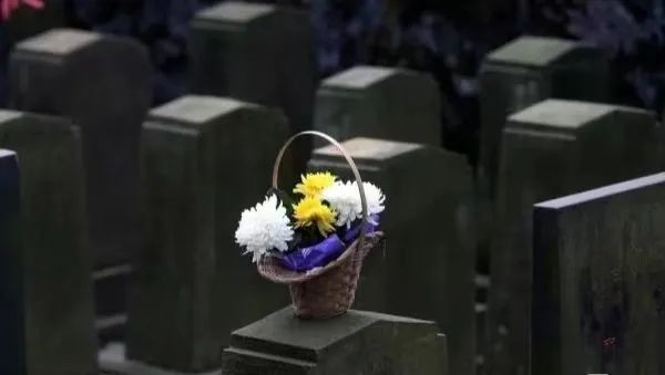 “清明不帶4人掃墓,子孫後代一直富”,4人分別指誰?為啥不能去掃墓?