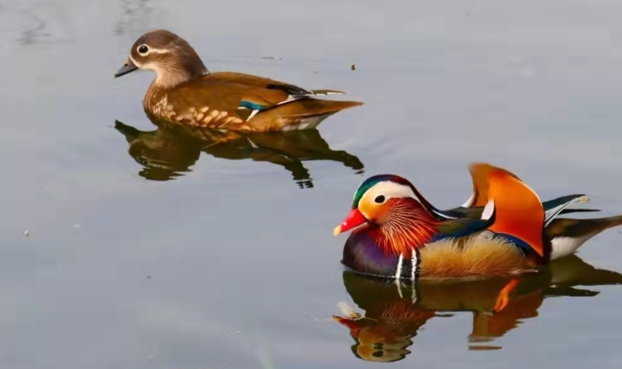 婚姻宮不吉，如何調理？