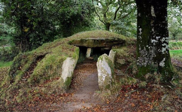 風水師：祖墳有這個特徵，建議遷墳！