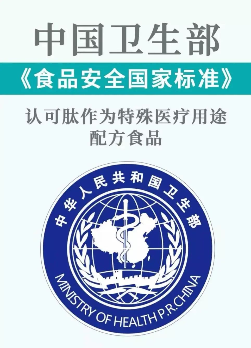 小分子肽為什麼如此神奇？這源於肽的吸收機制