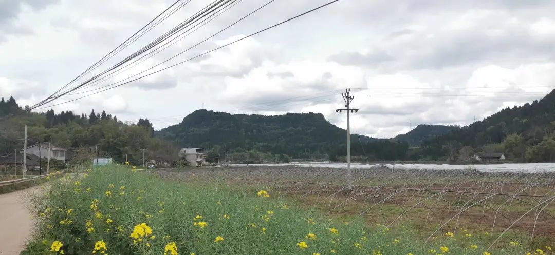 陰陽宅風水如何去立向?