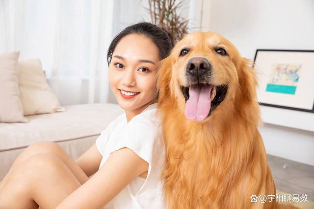 十二生肖的優缺點，如何揚優避劣、揚長避短？