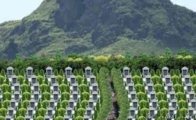 最全墓地風水和喪葬禁忌 ,弄明白了子孫滿堂,富甲一方!
