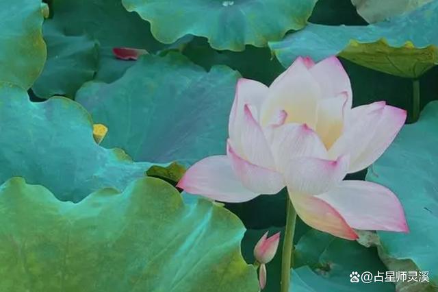 4月2日貴人運勢強來襲,哪些星座橫財大運來?